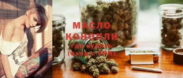 шишки Абаза
